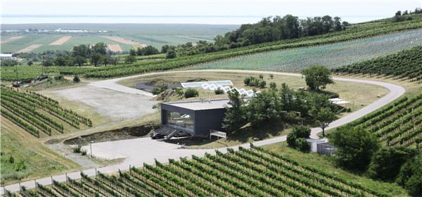 城郊型葡萄酒庄的景观设计要点